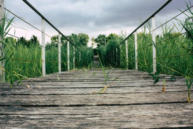 Fransa'da Reims yakınındaki zemin seviyesinden ahşap köprü görünümü