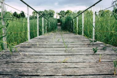 Fransa'da Reims yakınındaki zemin seviyesinden ahşap köprü görünümü