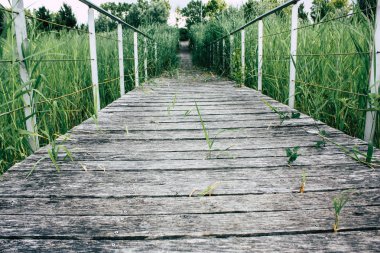 Fransa'da Reims yakınındaki zemin seviyesinden ahşap köprü görünümü