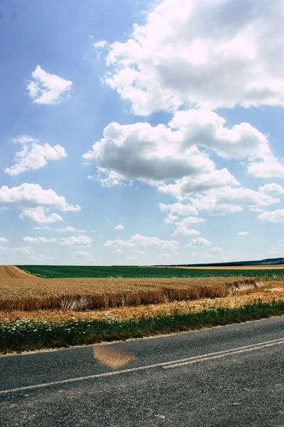 Fransa'da Reims yakınındaki manzara görünümünü