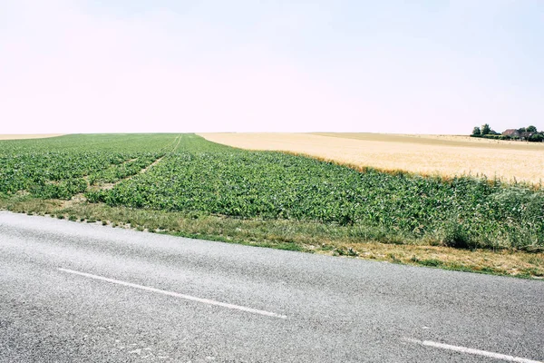 Fransa'da Reims yakınındaki manzara görünümünü