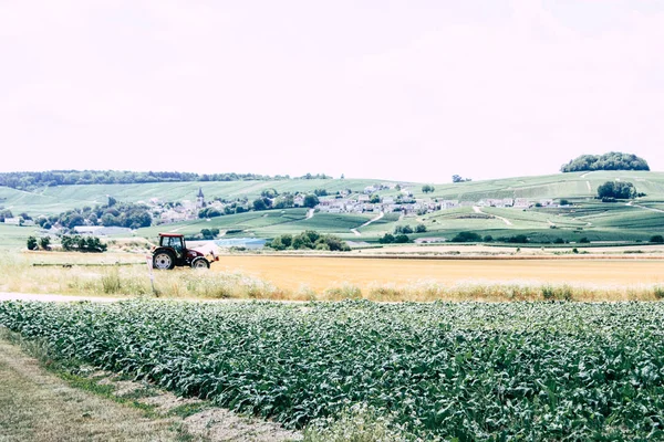 Fransa'da Reims yakınındaki manzara görünümünü