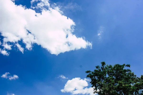 Fransa'da Reims yakınındaki manzara görünümünü