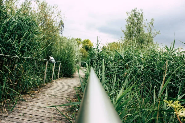 Fransa'da Reims yakınındaki manzara görünümünü