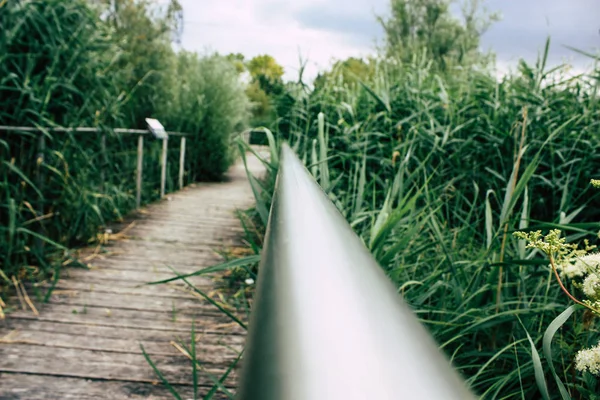 Fransa'da Reims yakınındaki manzara görünümünü