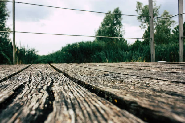 Fransa'da Reims yakınındaki zemin seviyesinden ahşap köprü görünümü