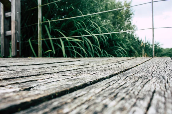 Fransa'da Reims yakınındaki zemin seviyesinden ahşap köprü görünümü