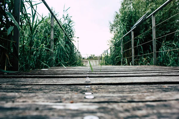 Fransa'da Reims yakınındaki zemin seviyesinden ahşap köprü görünümü