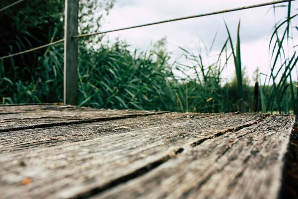 Fransa'da Reims yakınındaki zemin seviyesinden ahşap köprü görünümü