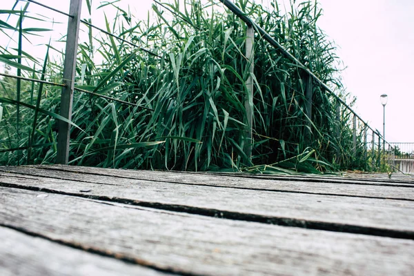 Fransa'da Reims yakınındaki zemin seviyesinden ahşap köprü görünümü