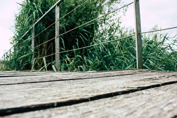 Fransa'da Reims yakınındaki zemin seviyesinden ahşap köprü görünümü