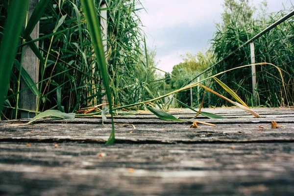 Fransa'da Reims yakınındaki zemin seviyesinden ahşap köprü görünümü