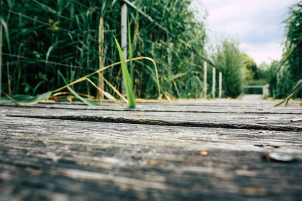 Fransa'da Reims yakınındaki zemin seviyesinden ahşap köprü görünümü