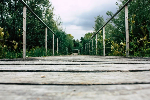 Fransa'da Reims yakınındaki zemin seviyesinden ahşap köprü görünümü