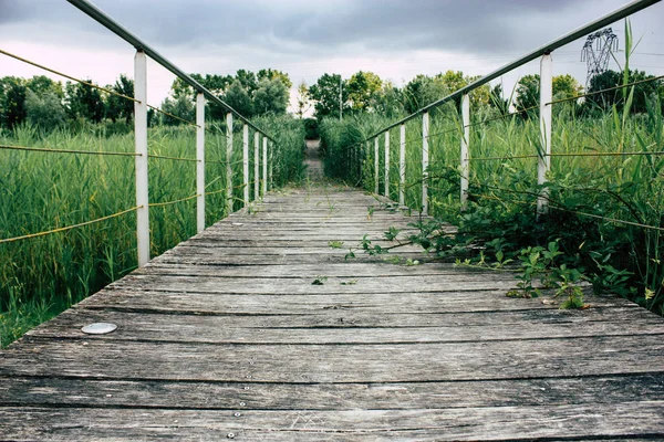 Fransa'da Reims yakınındaki zemin seviyesinden ahşap köprü görünümü