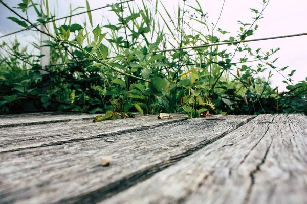 Fransa'da Reims yakınındaki zemin seviyesinden ahşap köprü görünümü