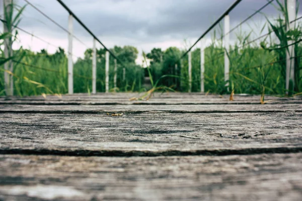 Fransa'da Reims yakınındaki zemin seviyesinden ahşap köprü görünümü