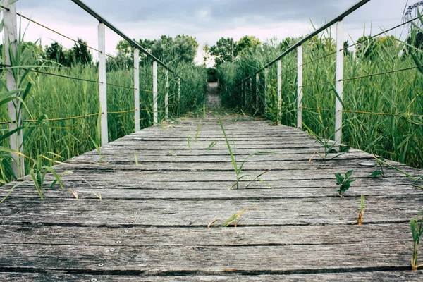 Fransa'da Reims yakınındaki zemin seviyesinden ahşap köprü görünümü