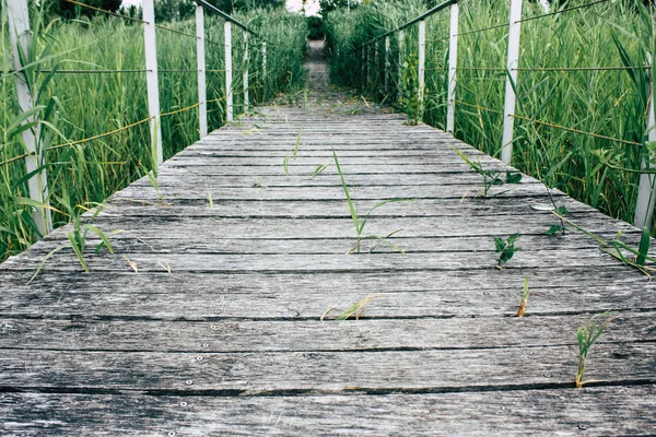 Weergave Van Een Houten Brug Vanaf Begane Grond Buurt Van — Stockfoto