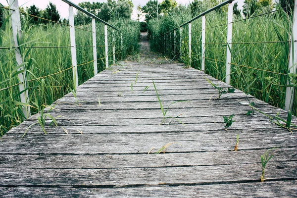 Fransa'da Reims yakınındaki zemin seviyesinden ahşap köprü görünümü