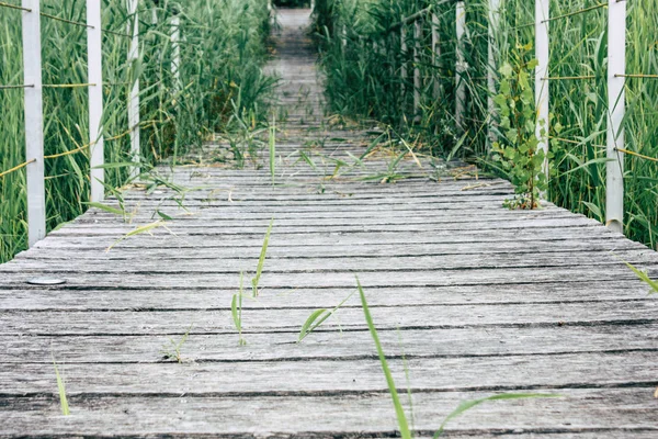 Fransa'da Reims yakınındaki zemin seviyesinden ahşap köprü görünümü