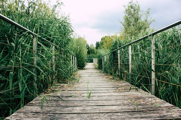 Weergave Van Een Houten Brug Vanaf Begane Grond Buurt Van — Stockfoto