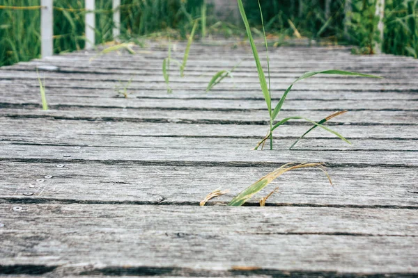 Weergave Van Een Houten Brug Vanaf Begane Grond Buurt Van — Stockfoto