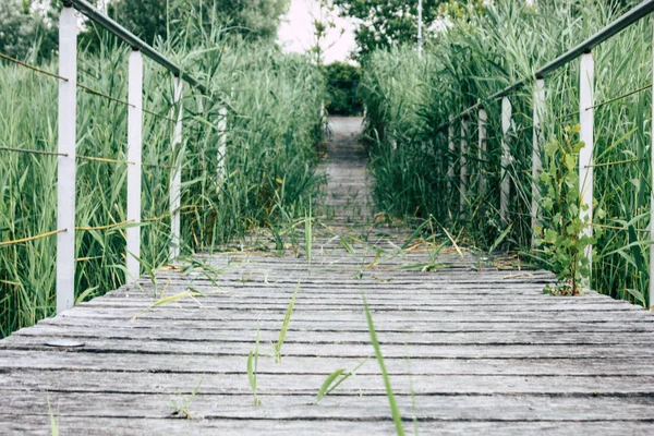 Weergave Van Een Houten Brug Vanaf Begane Grond Buurt Van — Stockfoto