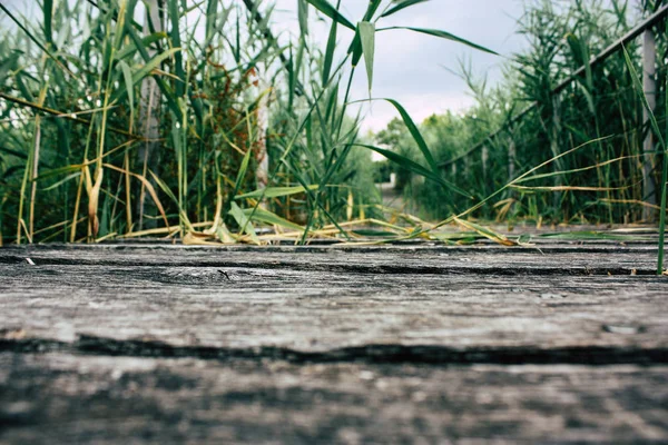 Fransa'da Reims yakınındaki zemin seviyesinden ahşap köprü görünümü