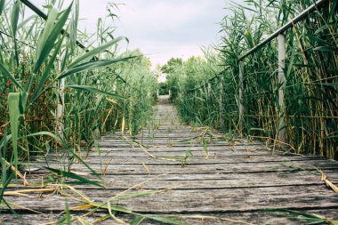 Fransa'da Reims yakınındaki zemin seviyesinden ahşap köprü görünümü