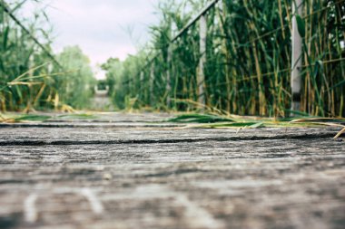 Fransa'da Reims yakınındaki zemin seviyesinden ahşap köprü görünümü