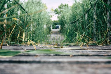 Fransa'da Reims yakınındaki zemin seviyesinden ahşap köprü görünümü