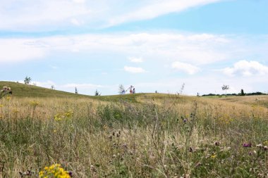 Doğa ve manzara Reims Fransa çevresinde bulutlu gökyüzü görünümü