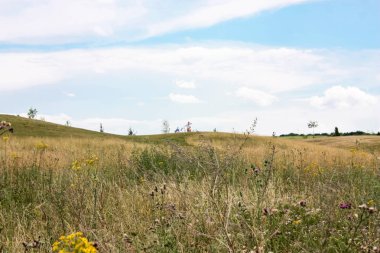 Doğa ve manzara Reims Fransa çevresinde bulutlu gökyüzü görünümü