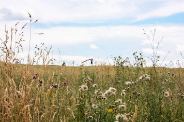 Doğa ve manzara Reims Fransa çevresinde bulutlu gökyüzü görünümü