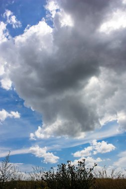 Doğa ve manzara Reims Fransa çevresinde bulutlu gökyüzü görünümü