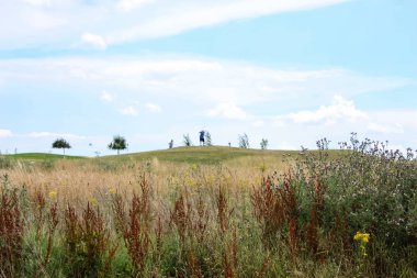Doğa ve manzara Reims Fransa çevresinde bulutlu gökyüzü görünümü