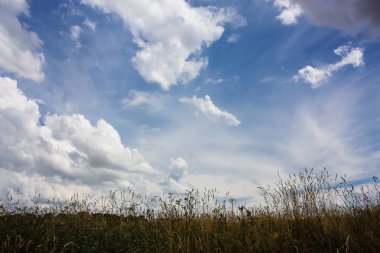 Doğa ve manzara Reims Fransa çevresinde bulutlu gökyüzü görünümü