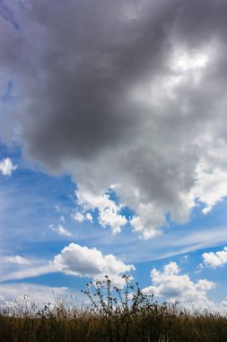 Doğa ve manzara Reims Fransa çevresinde bulutlu gökyüzü görünümü