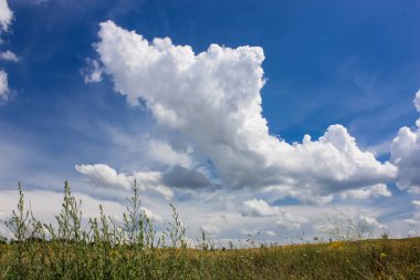 Doğa ve manzara Reims Fransa çevresinde bulutlu gökyüzü görünümü