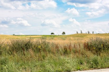Doğa ve manzara Reims Fransa çevresinde bulutlu gökyüzü görünümü