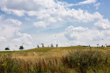 Doğa ve manzara Reims Fransa çevresinde bulutlu gökyüzü görünümü