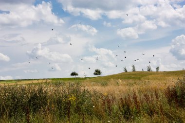 Doğa ve manzara Reims Fransa çevresinde bulutlu gökyüzü görünümü