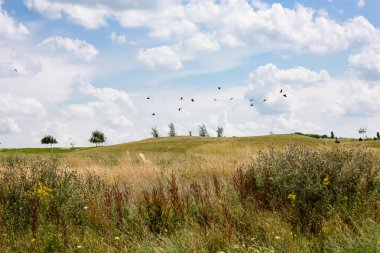 Doğa ve manzara Reims Fransa çevresinde bulutlu gökyüzü görünümü