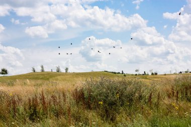 Doğa ve manzara Reims Fransa çevresinde bulutlu gökyüzü görünümü