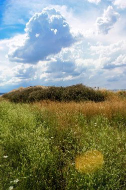Doğa ve manzara Reims Fransa çevresinde bulutlu gökyüzü görünümü