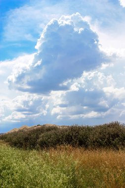 Doğa ve manzara Reims Fransa çevresinde bulutlu gökyüzü görünümü