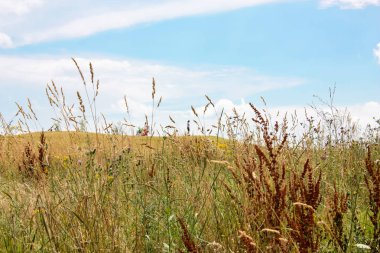 Doğa ve manzara Reims Fransa çevresinde bulutlu gökyüzü görünümü