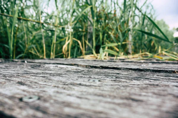 Fransa'da Reims yakınındaki zemin seviyesinden ahşap köprü görünümü