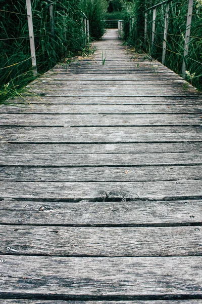 Fransa'da Reims yakınındaki zemin seviyesinden ahşap köprü görünümü